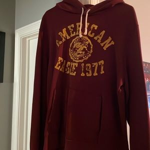 American Eagle outfitters hoodie, sweatshirt, size large